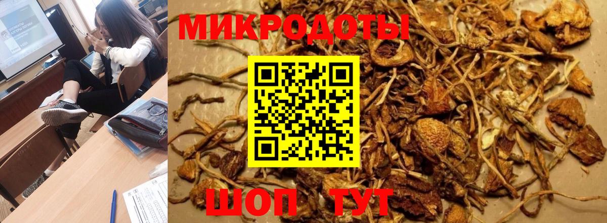 Галлюциногенные грибы Psilocybe  цены   Тавда  Вход с VPN 