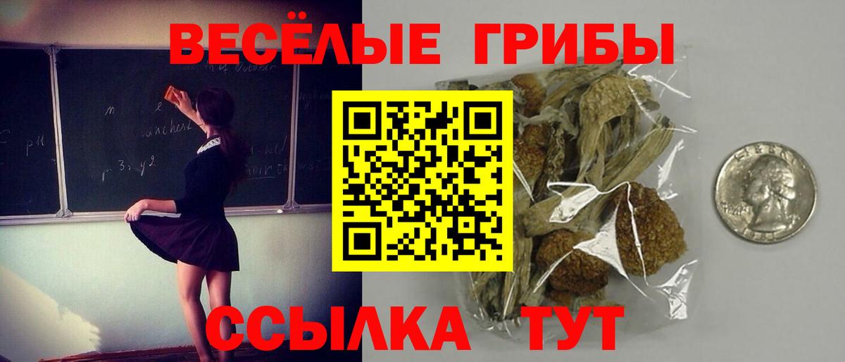 Галлюциногенные грибы ЛСД Тавда
